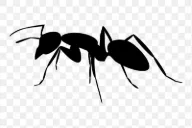 Ant Royale: Build, Defend, Conquer