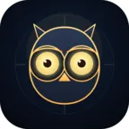 Hoot Hunter — Night Owl Arcade